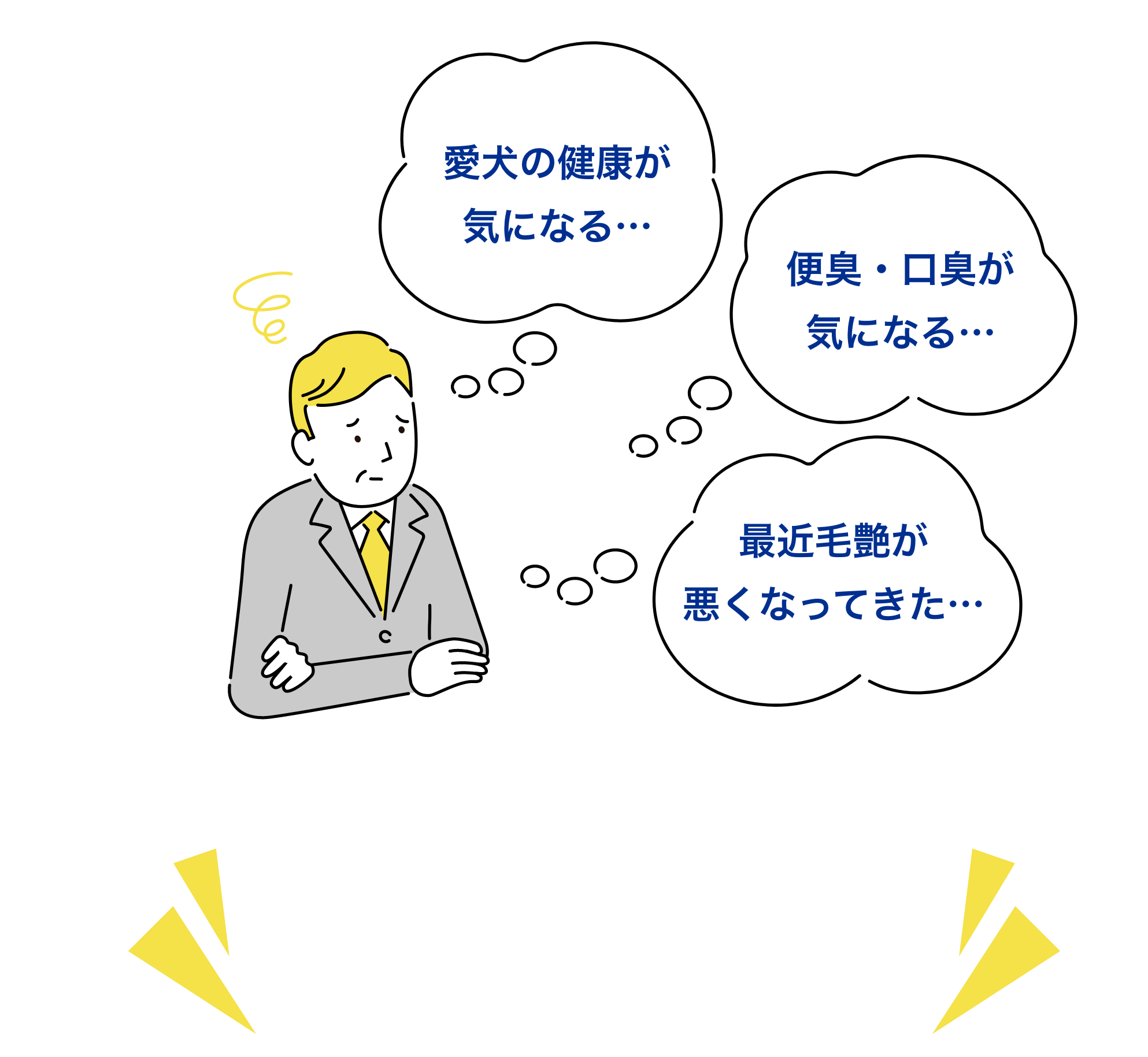 こんなお悩みありませんか？ 愛犬の健康が気になる…便臭・口臭が気になる…最近毛艶が悪くなってきた…健康竹炭入りささみならそんなお悩みを解決できます！