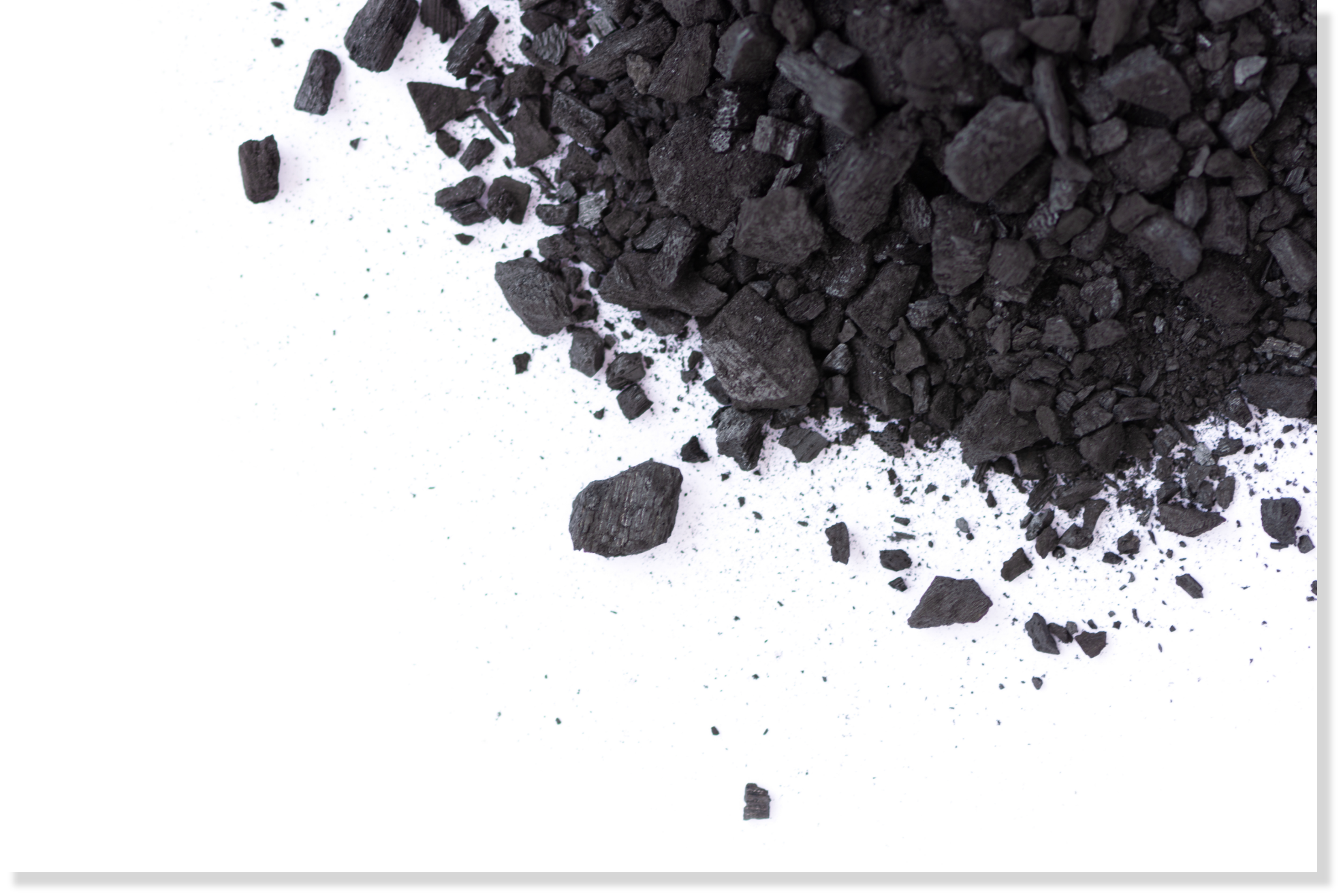 わんぺろのアメージングジャーキー　犬の写真1